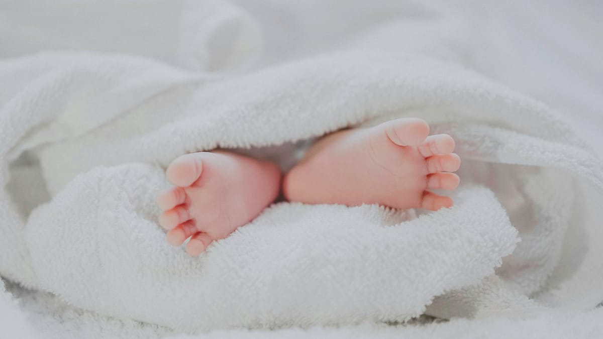 Pies de un bebé recién nacido envueltos en una manta blanca